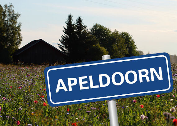 Winkelpagina | Apeldoorn