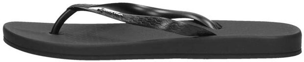 Anatomic Colors - large