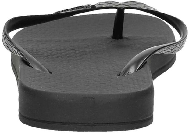 Anatomic Colors - large