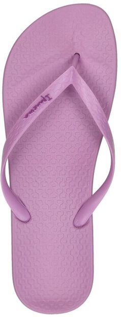 Anatomic Colors - large