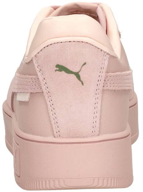 Carina Street SD - large