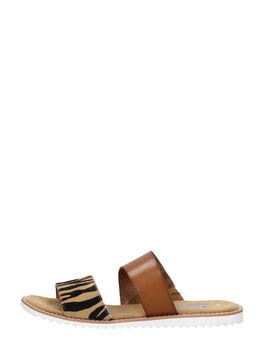 Blazing Star City Spy