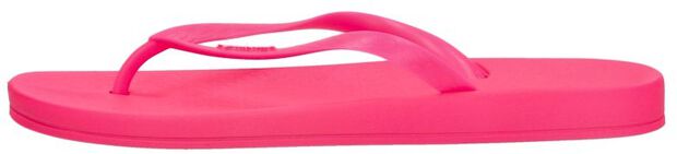 Anatomic Colors - large