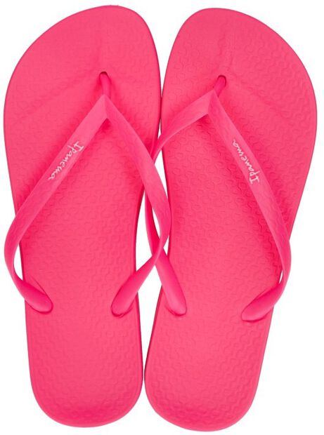 Anatomic Colors - large