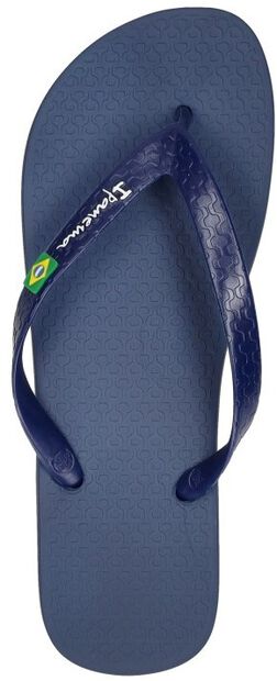 Classic Brazil - large