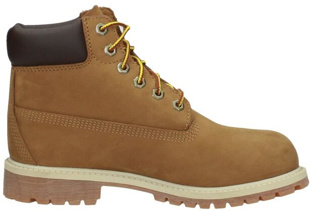 Premium 6 Inch Boot - large