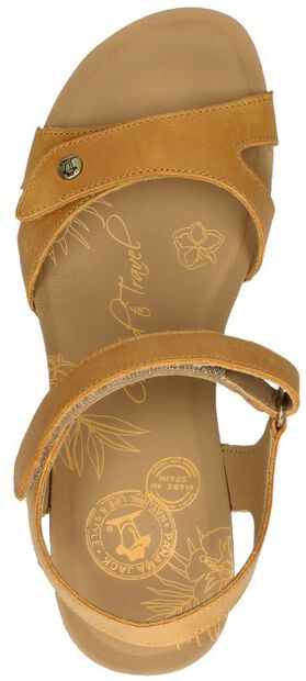 Julia Basics - large