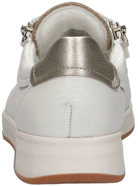 Rom-Highsoft - large