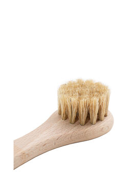 Application Brush