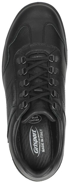 Schn&uuml;rschuhe low - large