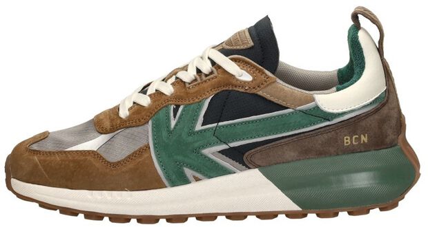 Vancouver Earth - large