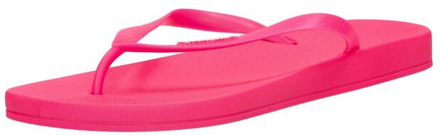 Anatomic Colors - large