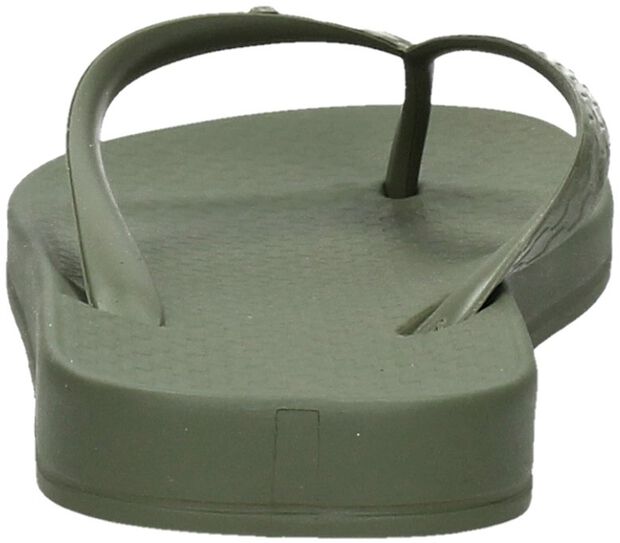 Anatomic Tan Colors - large