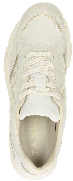 Kady Fat 16-K - large