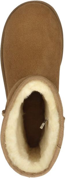 Classic Short II - large