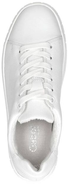 Schn&uuml;rschuhe low - large