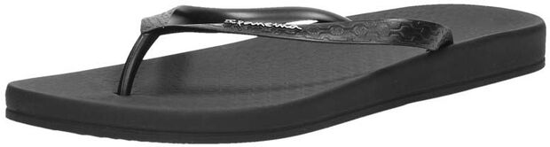 Anatomic Colors - large