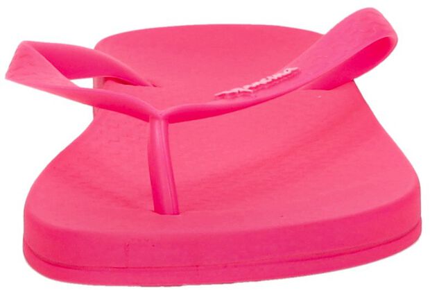 Anatomic Colors - large