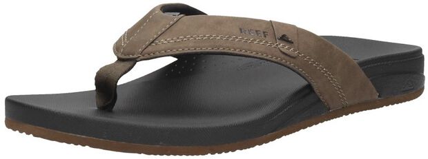 Cushion Spring - large