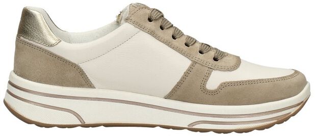 Sapporo-S 2.0 - large