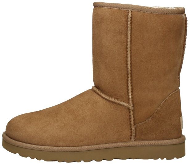 Classic Short II - large