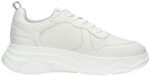 Women Low Cut Sneaker - large