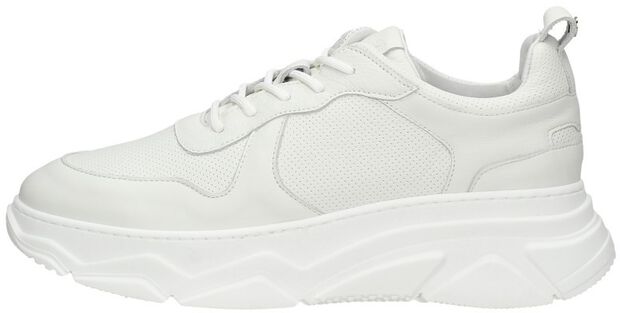Women Low Cut Sneaker - large