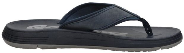 Maxwelll CAS M - large