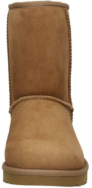 Classic Short II - large