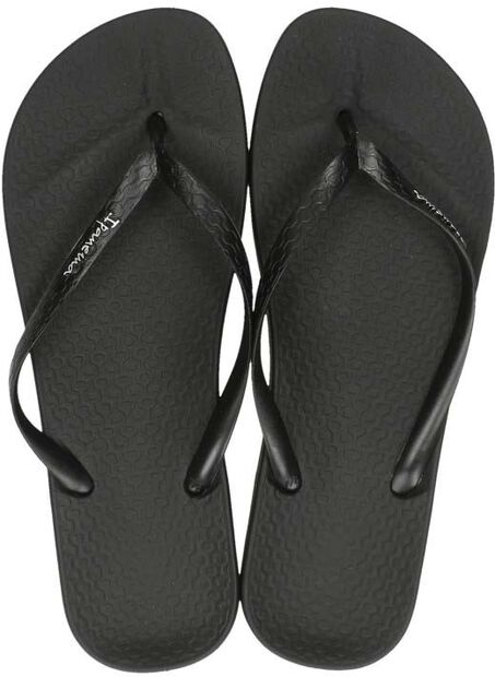 Anatomic Colors - large