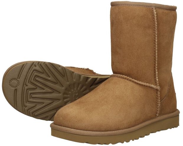 Classic Short II - large