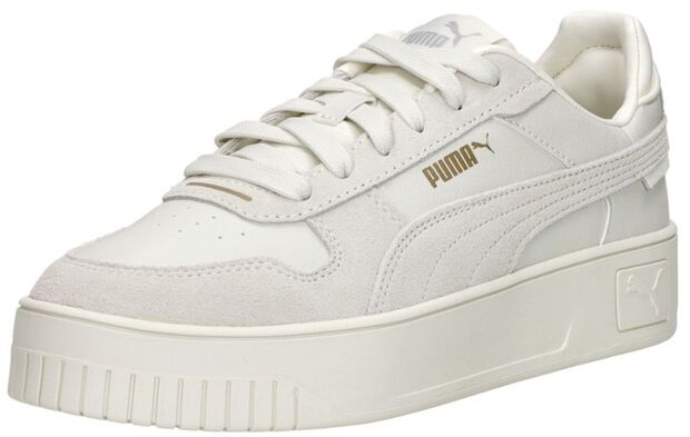 Carina Street SD - large